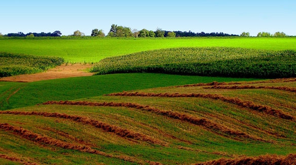 propósito da terra