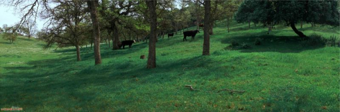 wie man den Zweck des Landes ändert