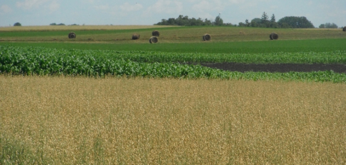 landwirtschaftliche Landübertragung