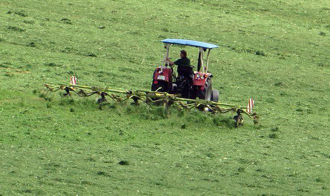 Importsubstitutionsprogramm in der Landwirtschaft