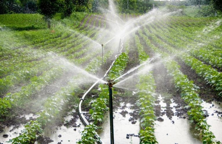 Sistema de irrigação