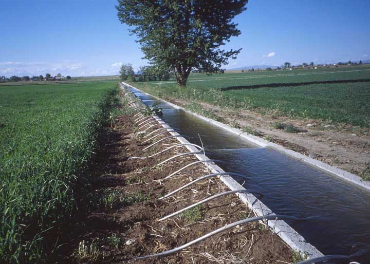 Sistema de irrigação