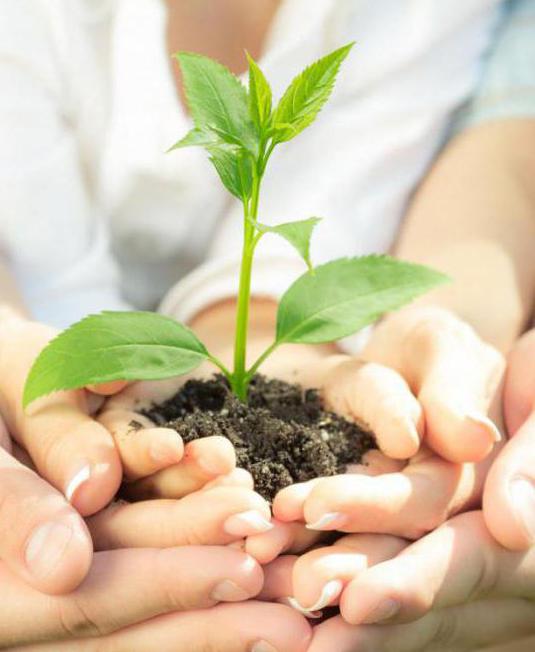 Um exemplo de gestão ambiental é o uso de