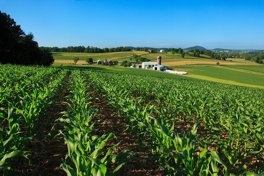 uso de terras agrícolas