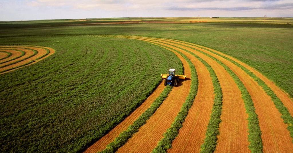 tipos de terras agrícolas