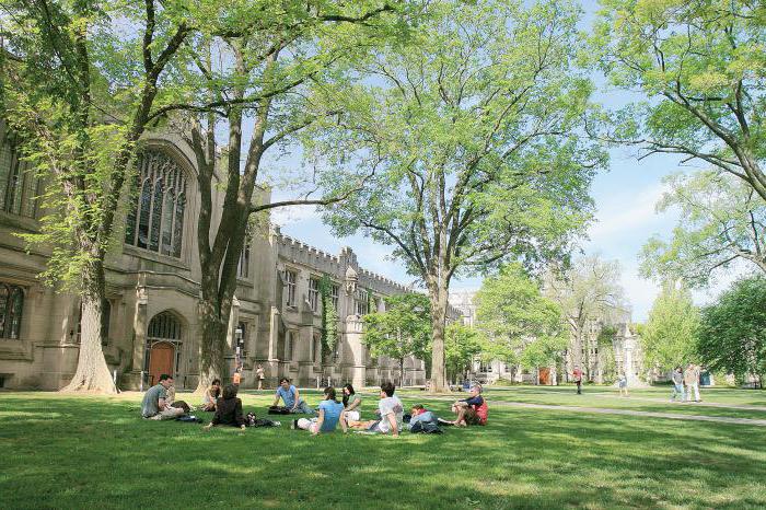 Universidade de Princeton