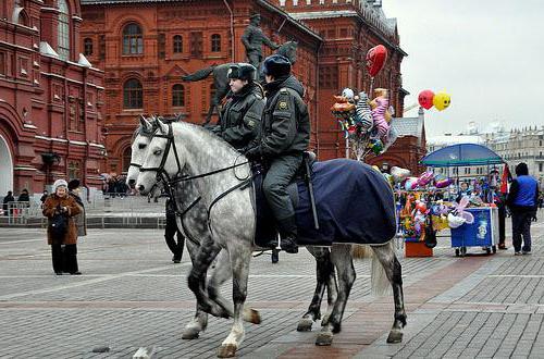 Gesetz über die Polizei der Russischen Föderation