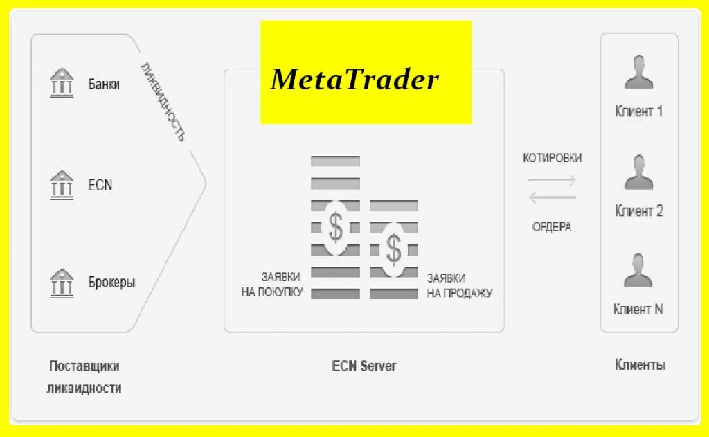 contas de forex ecn