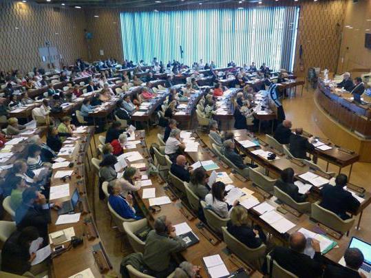 Organizações internacionais intergovernamentais e não-governamentais