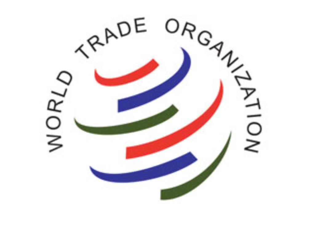 Warum ist Russland der WTO beigetreten?