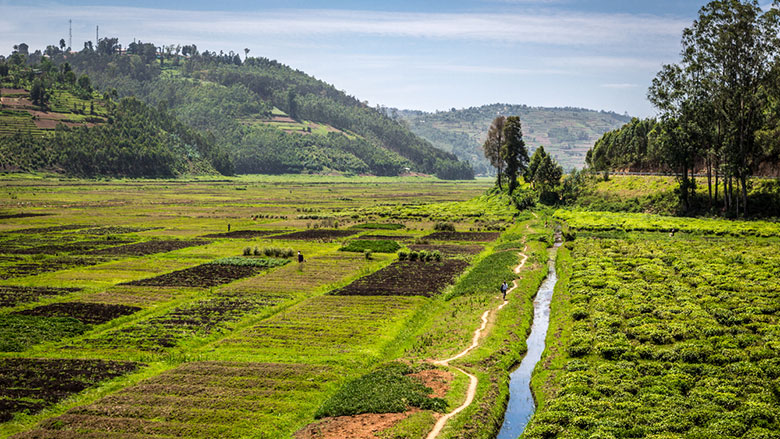 sistema e métodos do direito da terra