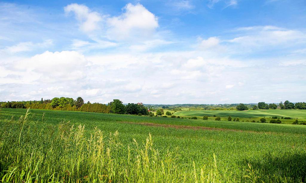 Methoden der gesetzlichen Regelung des Landrechts