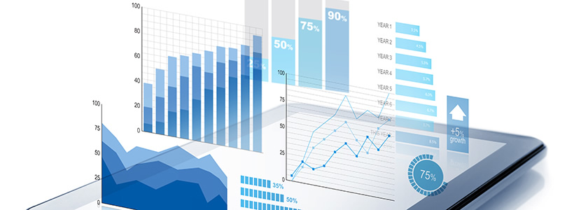 Formen staatlicher statistischer Beobachtung