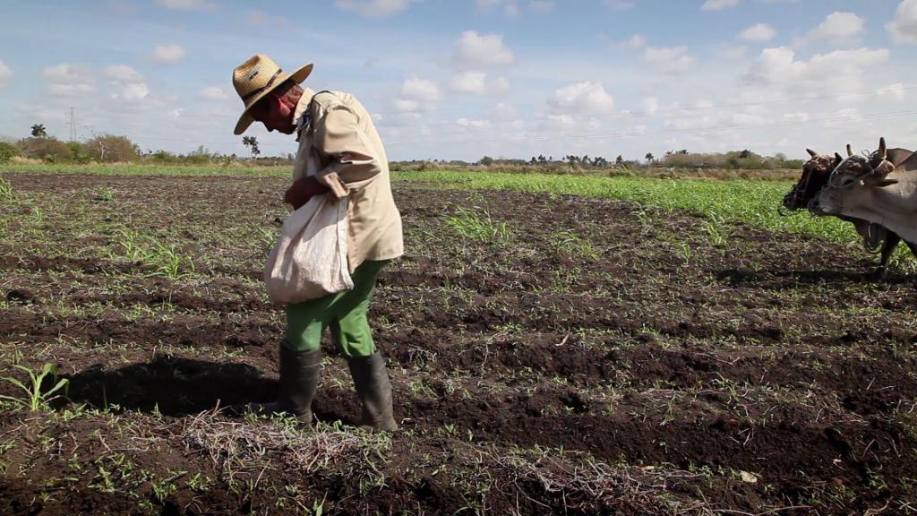 Trabalho de campo