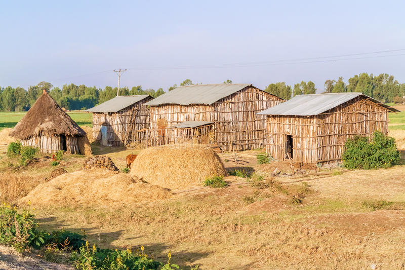 Casa com terra