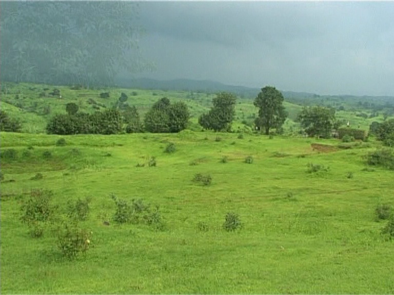 Responsabilidade pela ocupação não autorizada da terra