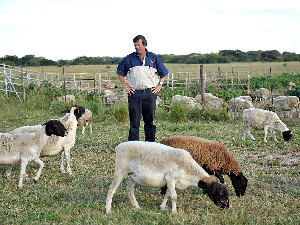 Was droht die unbefugte Besetzung des Landes