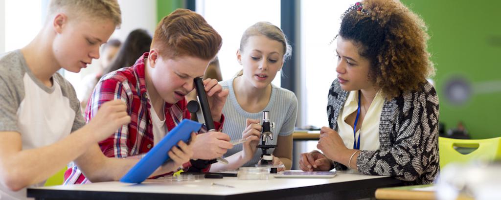 wie man mit einem Lehrer spricht, der die Noten unterschätzt