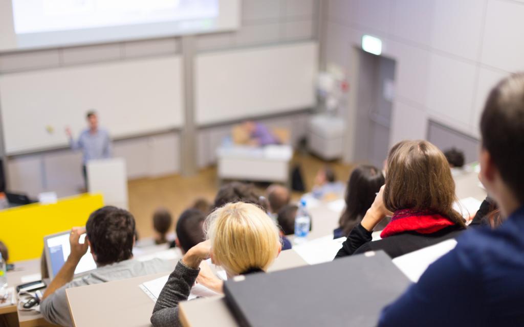 formas de organização do estudo em uma universidade