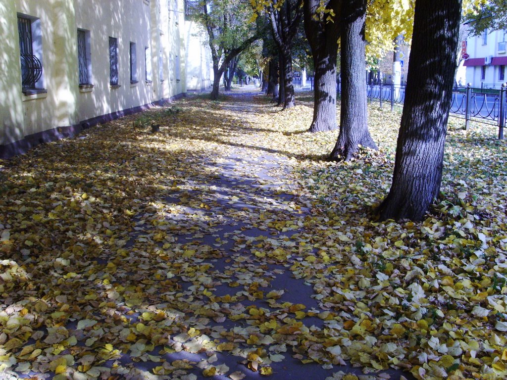 Herbst im Elektrostal