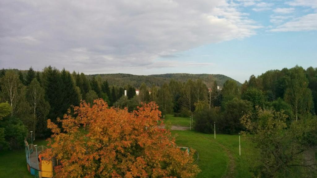 Die Natur der Region Kemerowo