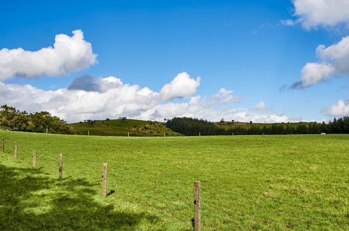 Grundstückstauschvertrag für ein Wohngebäude