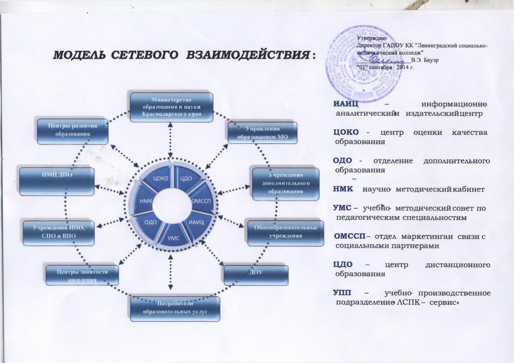 rede organização energia