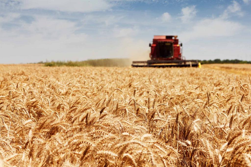 Formen der landwirtschaftlichen Zusammenarbeit