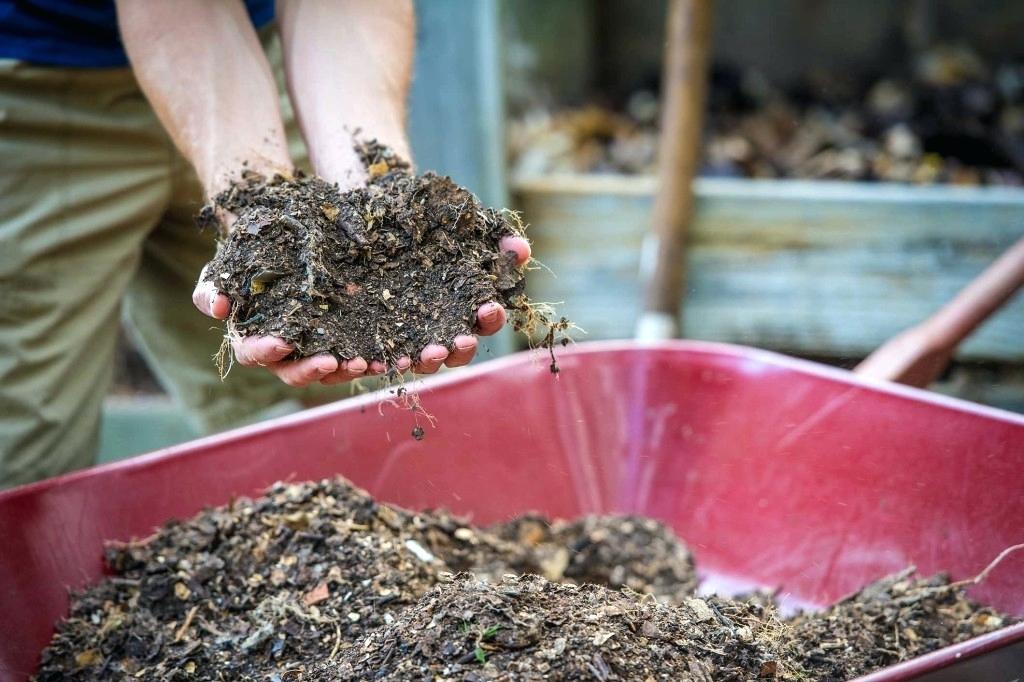 lixo de compostagem