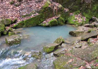 Oberflächen- und Grundwasserkörper