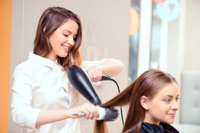 Wagen Friseur Lebenslauf