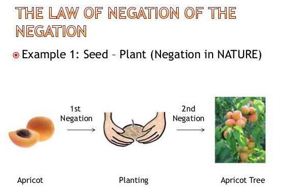 exemplos da vida da negação da negação da lei