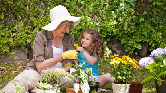 Geschäft für Seniorinnen