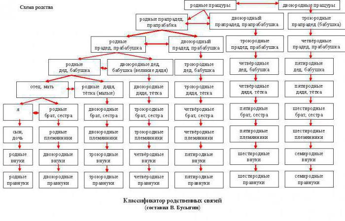 Fatos legais na classificação do conceito de direito de família