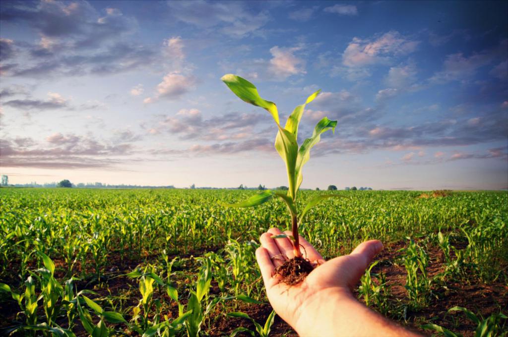 Caminhos do desenvolvimento agrícola