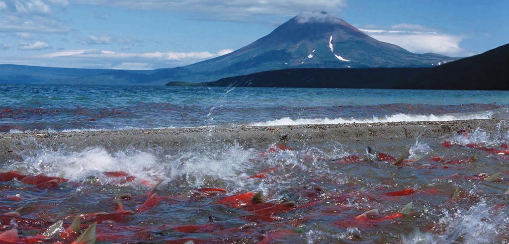 Natureza Kamchatka