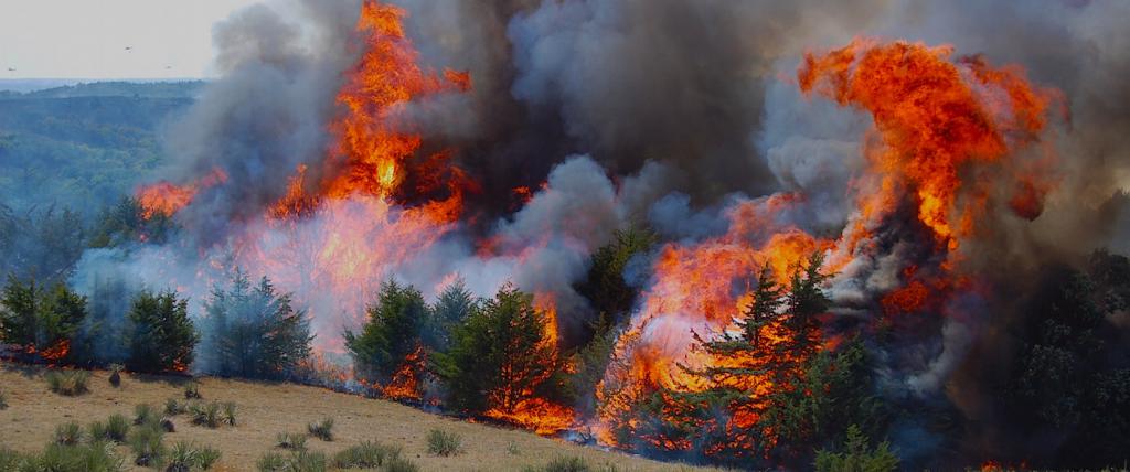 incêndios florestais