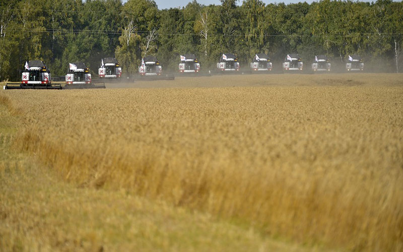 Landwirtschaft der Region Tscheljabinsk