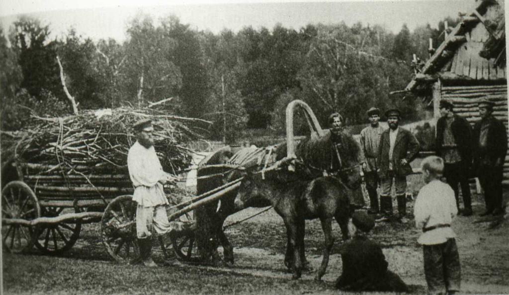 Bauerngesellschaft